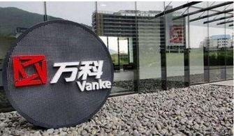 万科爆料最新消息是谁的,揭秘神秘幕后操控者身份!